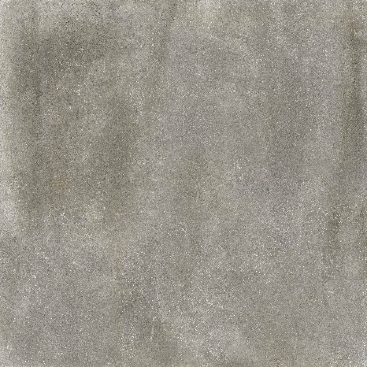 Dalle grès cérame Anversa HAV205 gris 120x120cm