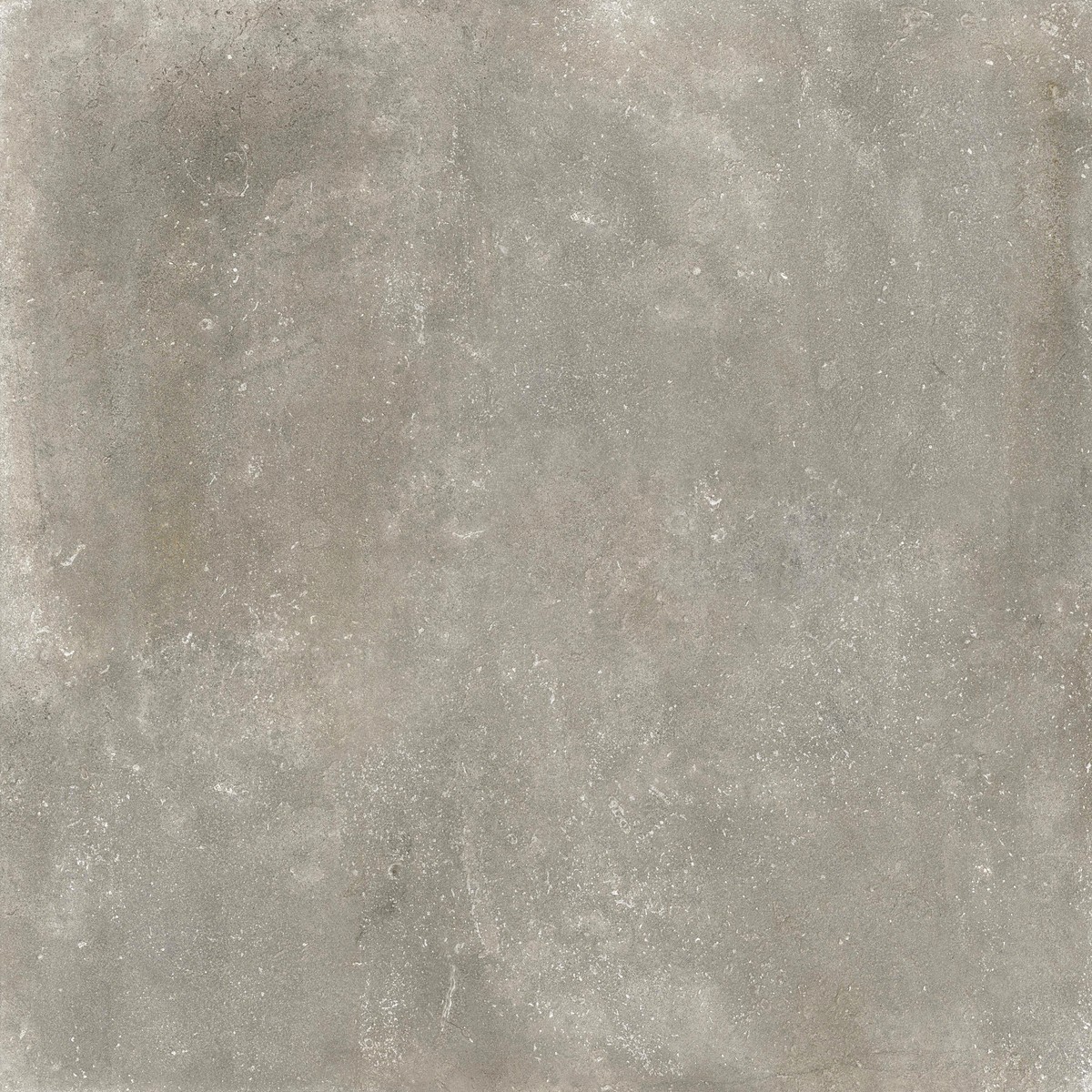 Dalle grès cérame Anversa HAV209 Taupe 120x120cm