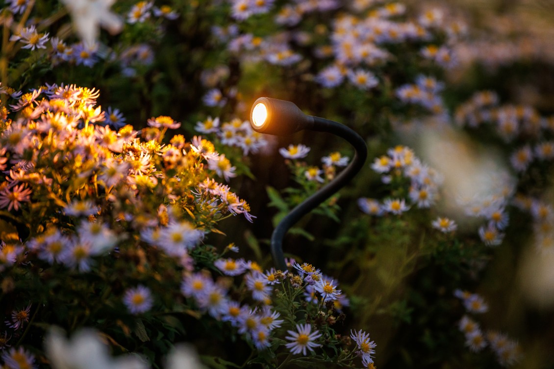 Spot flexible Xible de LightPro