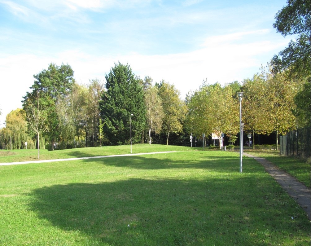 Gazon à semer Terra Parc