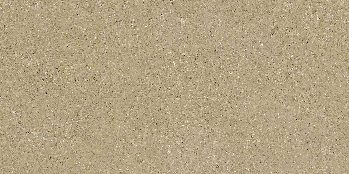 Dalle grès cérame Delconca Wild HWD201 Beige