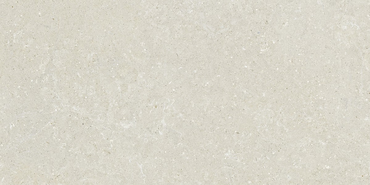 Dalle grès cérame Delconca Wild HWD210 blanc