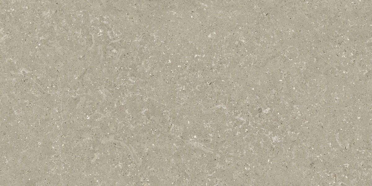 Dalle grès cérame Delconca WWild HWD211 Taupe
